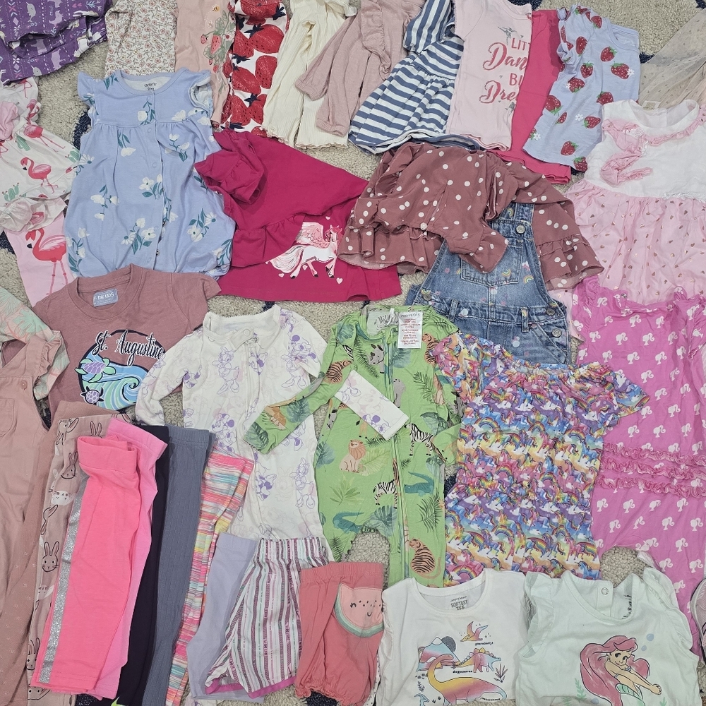 Baby Girl Mystery Clothing Bundle – Size 12-24 months (15–20 Items!)